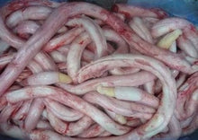 Load image into Gallery viewer, Beef raw pizzle, bull: large, thick, whole - $23/KG by the carton