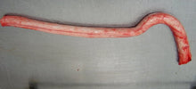 Load image into Gallery viewer, Beef raw pizzle, bull: large, thick, whole - $23/KG by the carton