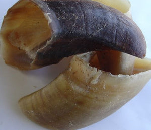 Dehydrated cow hooves, 2x per pack